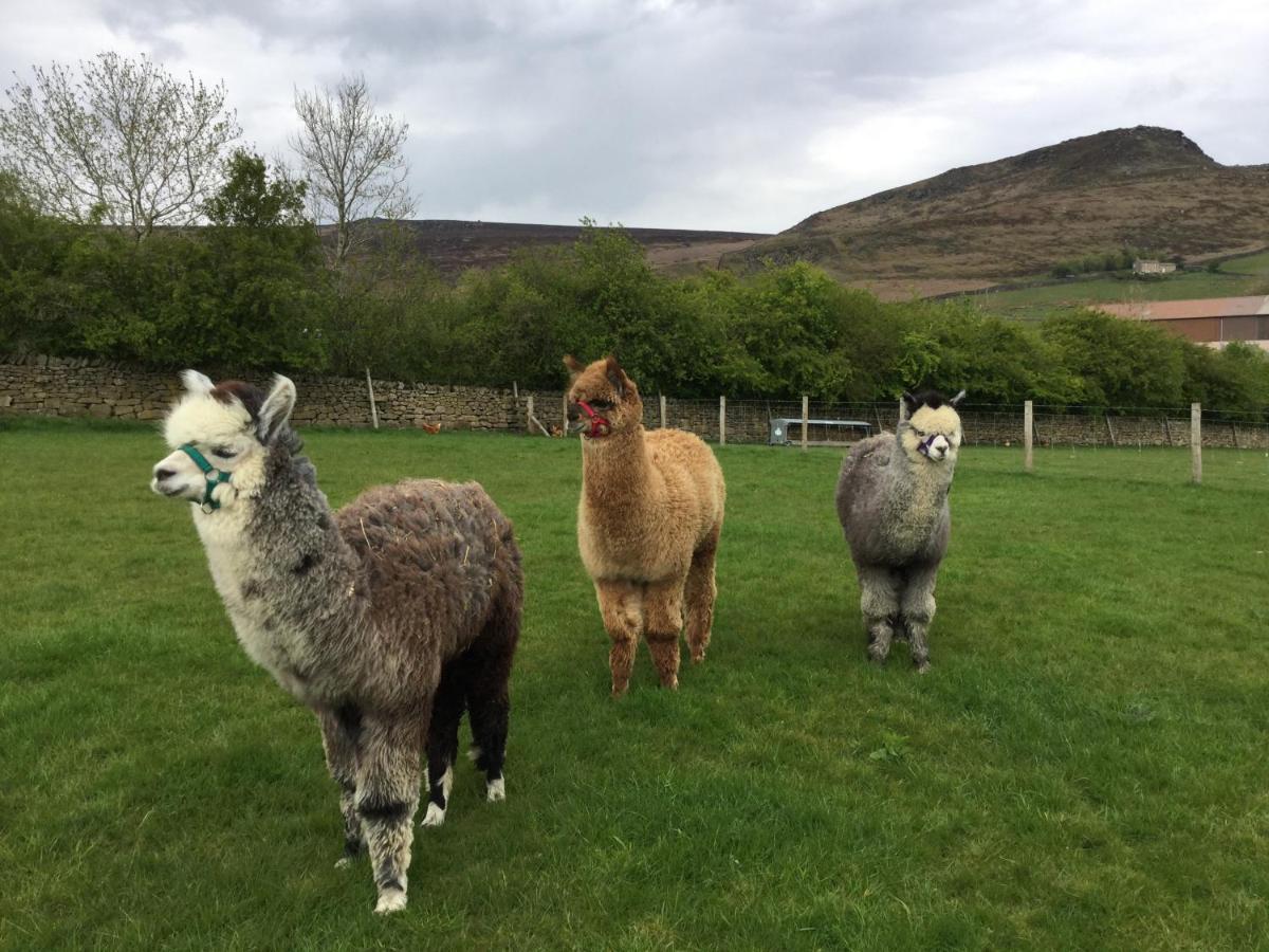 Crown Farm